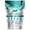 Premium Zinc Citrate (150% NRV) 100 Tablets / 1 Per