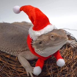 Bearded Dragon Santa Hat and Scarf Set Christmas Costume for Lizard Reptile Ferret Xmas Hat with Adjustable Elastic Chin Strap Great Xmas Gift for Small Animals
