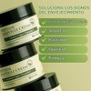 MIZON [MIZON] Peptide Ampoule Cream 50ml