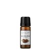 Lily & Loaf Scots Pine Organic Essential Oil (Pinus sylvestris)