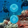 Seavenger Ocean Kiss Reef-Safe Sunscreen SPF 30-50 with Jellyfish Sting