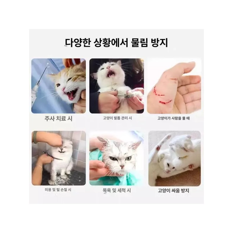 고양이 모자 보호 투명 통기성 반려묘 목욕 반려동물 Cat Hat
