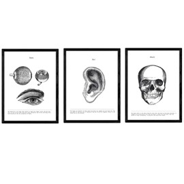 Nacnic Set of 3 Anatomy Posters. Vintage style wall decoration of eyes, ears and skulls. Assorted black and white pictures of human anatomy and body parts. Size A3.
