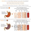Nanocur Turmeric Curcumin - 100x More Active Than Turmeric, 170%