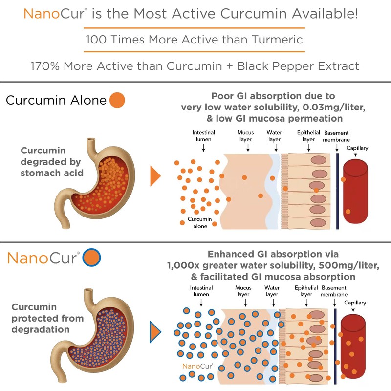 Nanocur Turmeric Curcumin - 100x More Active Than Turmeric, 170%