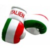 Doktor Hardstuff Mini Boxing Gloves - Italy