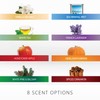 Luminara Fragrance Diffusing Pods, Set of 3 (Pumpkin), Natural Home