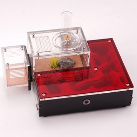 Double Courtyard Ant Nest – Dual Chambers with Activity Space, Built-in Humidity Retention System, External Water Tower & Waste Area for Optimal Ant Habitat Maintenance