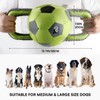 ALL FOR PAWS Ballistic Handle Ball Dog Toy with Squeaker,