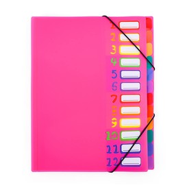 Project Folder A4 Organiser Desk Folder 12/20 Compartments Desk Folder Personal Folder with Elastic Band Folder Plastic Ring Binder Waterproof Ring Binder Personal Folder for School Office Art