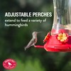 Perky-Pet 476 Glass 20-Ounce Hummingbird Feeder