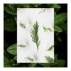 Body Wash Raw Sugar Cedro