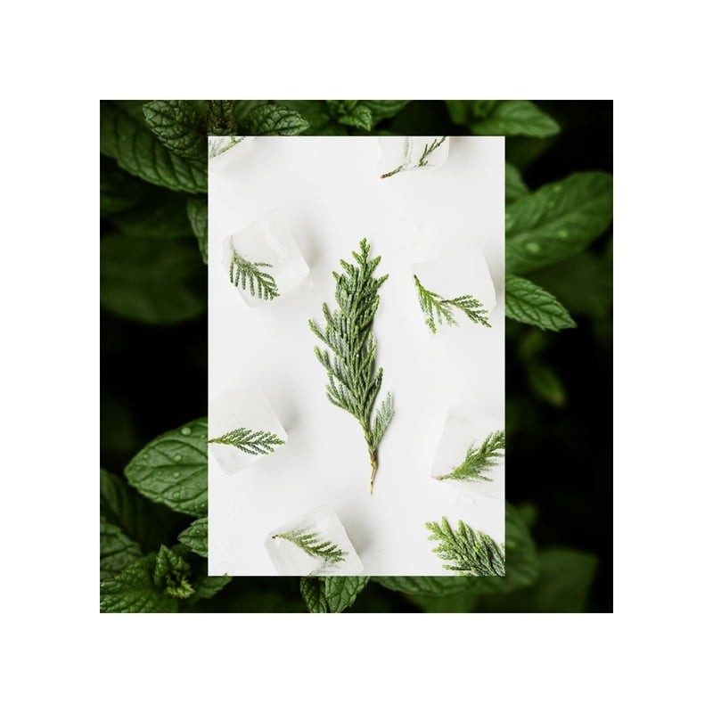 Body Wash Raw Sugar Cedro