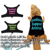 Bearded Dragon Lizards Clothes with Leash Set for Small Pets