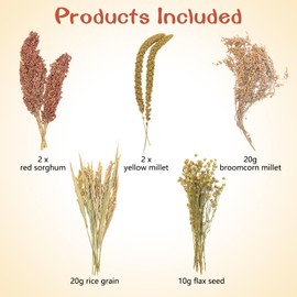 Fhiny Natural Hamster Sprays Edible Hamster Bedding Air-Dried Grain Set for Habitat Decor Mice Cage Accessories for Gerbils Lemmings Parrots Rats and Other Small Animals（0.4lb）