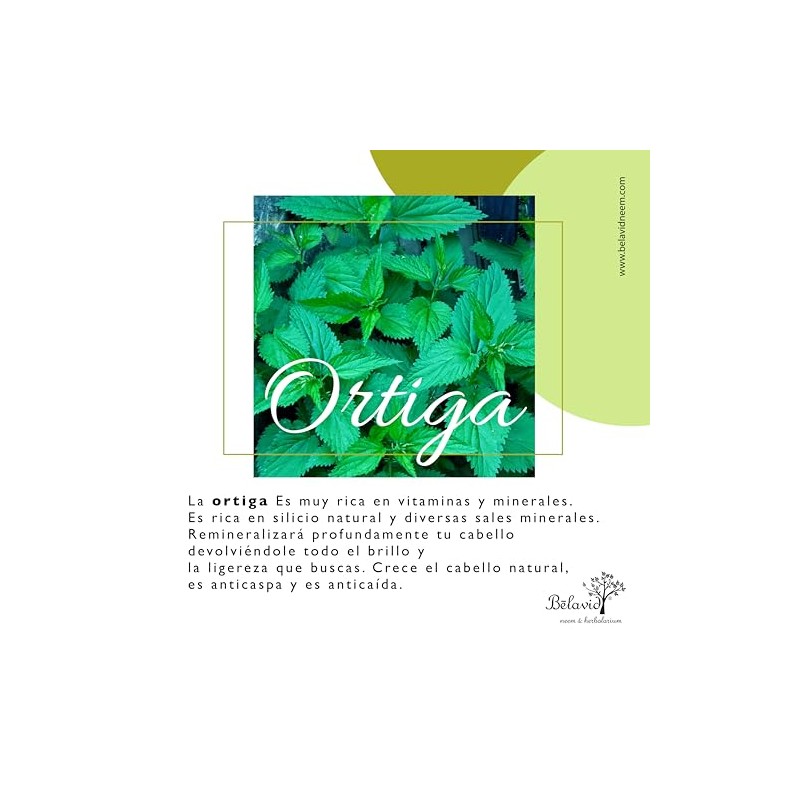 Shampoo Control Caída y Acondicionador Reparador Neem
