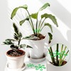 Moguri Set of 4 Climbing Plant Supports, Plant Clips and