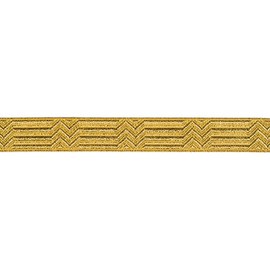 Ruther & Einenkel Border Decoration Ribbon (Zigzag) 10 mm, Gold/Presentation 5 m, Polyester, PE Film, 500 x 1 x 0.1 cm, 5
