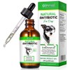 Oimmal Natural Antibiotic for Dogs Allergy Relief Apple Dog Itch