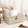 BTSKY Household Rectangular Seagrass Facial Tissue Box - Decorative Woven