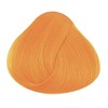 La Riche Directions Semi-Permanent Hair Colour 100 ml Tube, Apricot