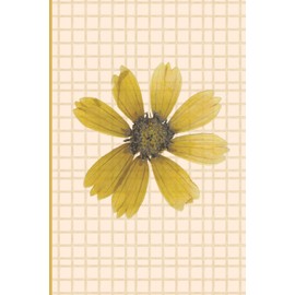 Minimalist Sunflower Ruled Notebook – Beige Grid Cover, 120 Pages (6” x 9”): Elegant 6x9 Floral Journal with Soft Grid Background | Aesthetic Notebook ... & Gift Giving | 120 College Ruled Pages
