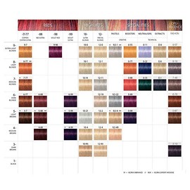Schwarzkopf Professional Igora Royal Permanent Hair Color, 6-99, Dark Blonde Violet Extra, 60 Gram
