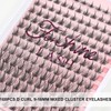 Fenshine Cluster LashesIndividual Lashes Wide Stem C/D Curl 9-15mm Length