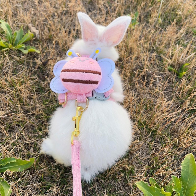 Hayaww Rabbit Harness and Leash Adjustable Harness for Rabbits Rabbit