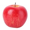 apple samples apple model artificial apple artificial fruit food sample