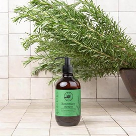 Perfect Potion Rosemary Shampoo 6.8 fl oz (200 ml)