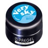 PRE GEL Color EX Berry Sky 0.1 oz (3 g)