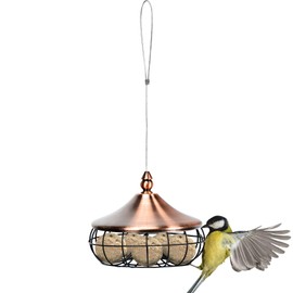 GOPLUS Fat Ball Holder for Hanging, Feeder Made of Stainless Metal, with Roof, Bird Feeder Diameter 17 cm, for Fat Balls without Net, Weatherproof, for Balcony or Garden