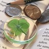 Real Four Leaf Clover Good Luck Pocket Token, Preserved, 1.25”,