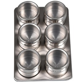 True Face Magnetic Spice Tins - Set of 6 | Stainless Steel Spice Jars | Herb Pots | Seasoning Shakers | Spice Containers with Lid | Spices for Cooking | Jar with Clear Lid | Silver Pots