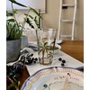 KLIFA- HOLIDAY- 16.2 ounce, Set of 6, Plastic Palm Tree