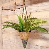Wildlife World Artisan Hanging Plant Basket - Small Conical -