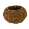 Esschert Kokedama Moss Ball L Diameter 19.8 cm