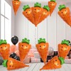 CZAYEFNH Pack of 12 Vegetables, Foil Balloons, Vegetables, Colourful Giant