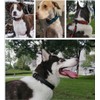 Genuine Leather Dog Collar, Adjustable Pet Collar, 5 Sizes XS-XL,
