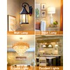 Flaspar G9 50W Halogen Light Bulbs, T4 JCD Type 2800K