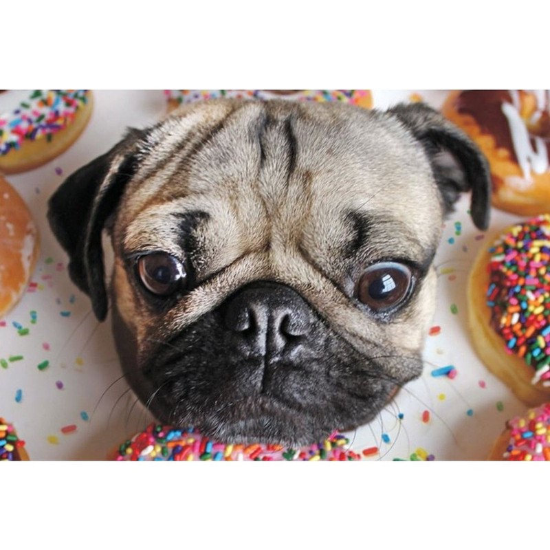 Doug The Pug 1000 Piece Puzzle Jigsaw Puzzle 27 x