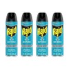 Raid Ant Killer Spray Pine Forest,17.5 Ounce (Pack of 4)
