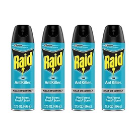 Raid Ant Killer Spray Pine Forest,17.5 Ounce (Pack of 4)