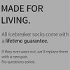 icebreaker Men's Lifestyle Light Crew Socks - Black - X-Large