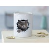 GRAZDesign Funny Cat Money Box with Cat Motif - Wall