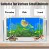 XCNO Fish Backgrounds Paper Double Sides Undersea Aquarium Background Poster