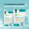 Wellthy Colágeno Hidrolizado + Ácido Hialurónico 60 Capsulas. 100% Natural,