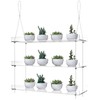 ZerzSemp 3-Tier Hanging Acrylic Plant Shelves for Windows, Each Tier