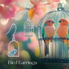 Bird Earrings 925 Sterling Silver Turquoise Bird Cage Dangle Drop